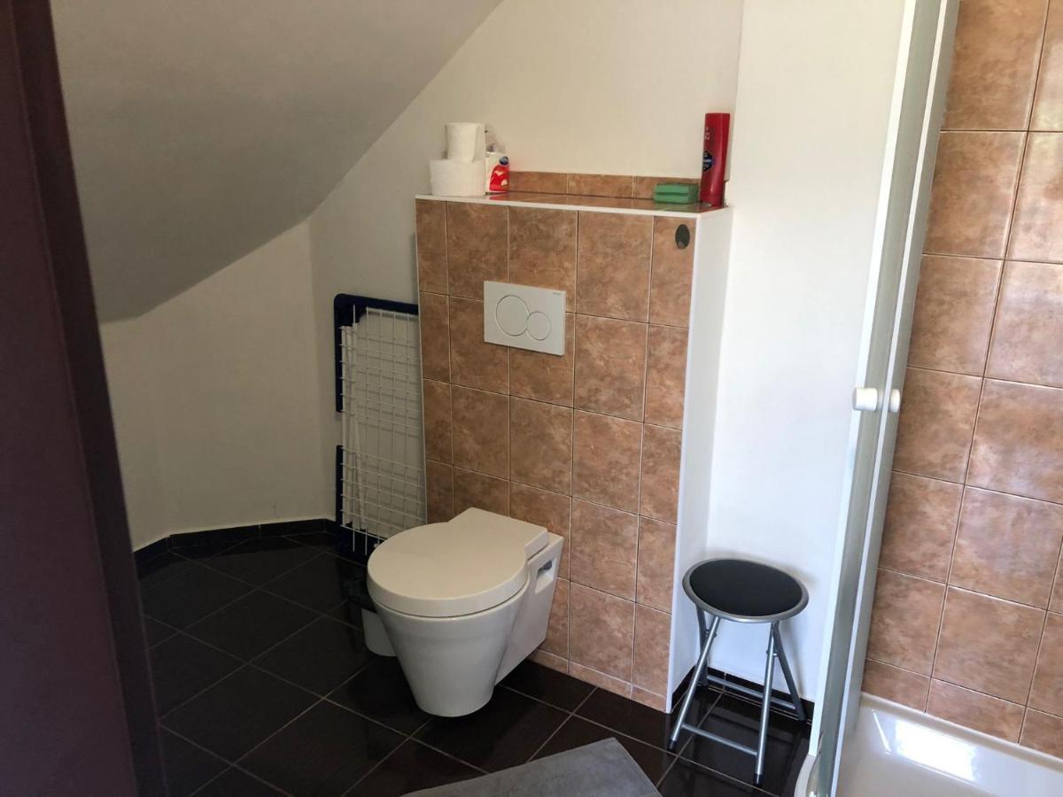 Standa Sluka Udoli Albrechtic Apartment Albrechtice v Jizerskych horach Bagian luar foto